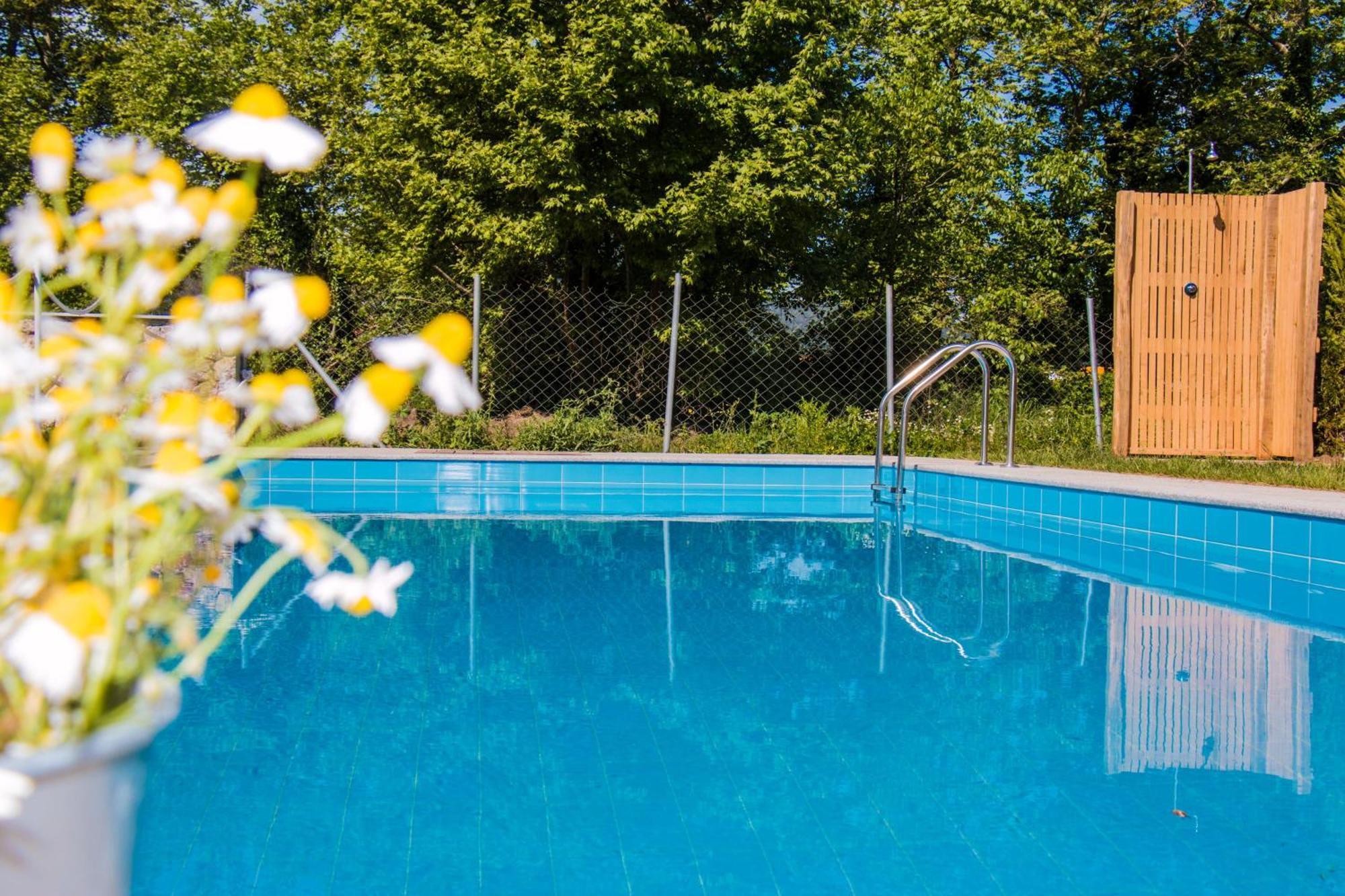 Apartment Aristotelia Gi Ikies - Poolside Retreats *