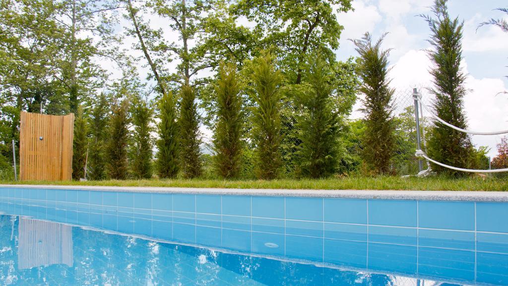 Aristotelia Gi Ikies - Poolside Retreats Olympiada